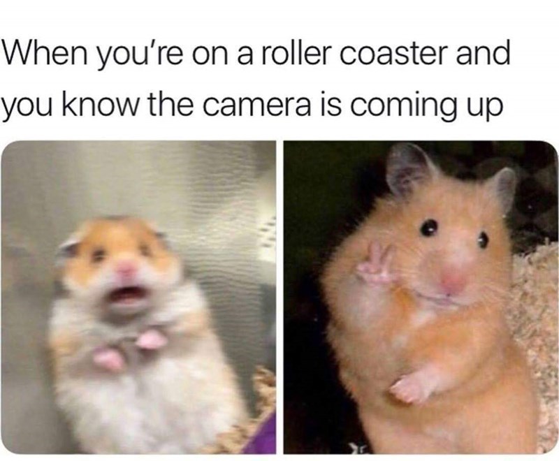Naam:     rollercoaster.jpg
Bekeken:  3238
Groote:   76,3 KB