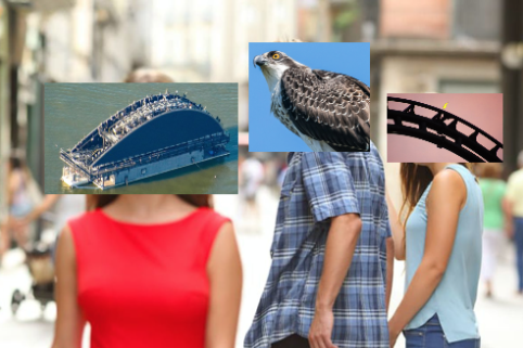 Naam:     bird.png
Bekeken:  3288
Groote:   276,7 KB