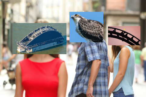 Naam:     bird.png
Bekeken:  1465
Groote:   276,7 KB